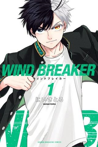 ＷＩＮＤ　ＢＲＥＡＫＥＲ Raw Free